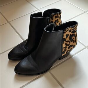 Franco Sarto Black and Brown Ankle Boots with Pointed Toe